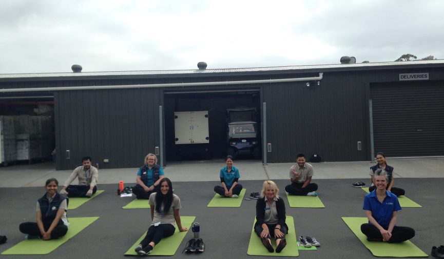 The Health Benefits Of Yoga Practice Combined With Physiotherapy Workplace Yoga Classes are a great Health & Safety Initiative